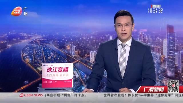 珠江夜傾情最新2017