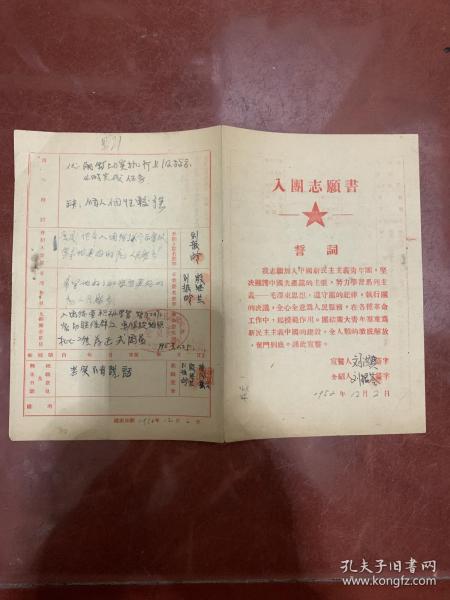 最新入團志愿書