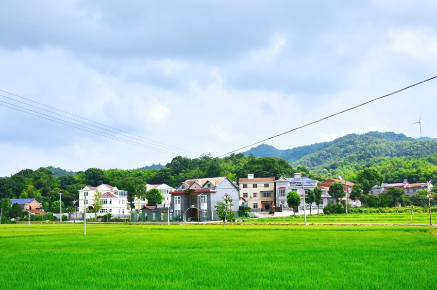 數字化時代下的美麗鄉村在線，鄉村新面貌探索