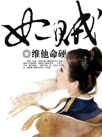 妃賊下載，數(shù)字時代文化現(xiàn)象的深度探索