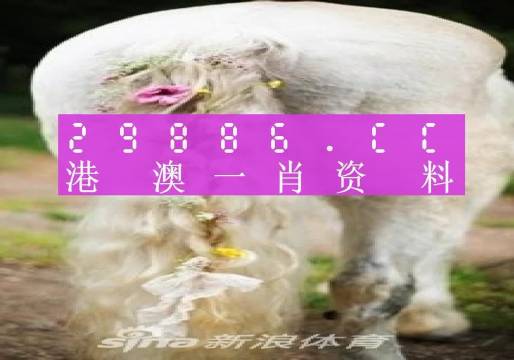 澳門王中王100的資料2023｜實地解釋定義解答