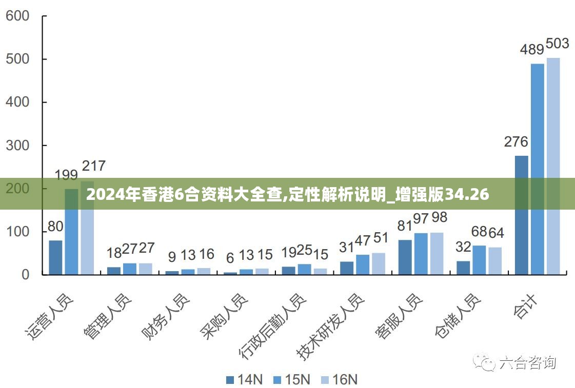 2024年新奧全年資料｜數據解釋說明規劃