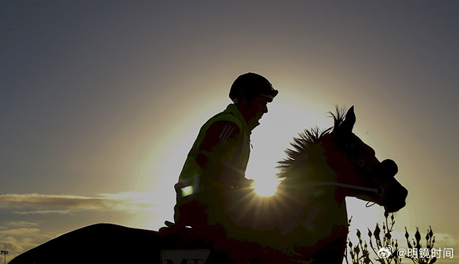 2024澳門特馬今晚開獎53期｜實地解釋定義解答