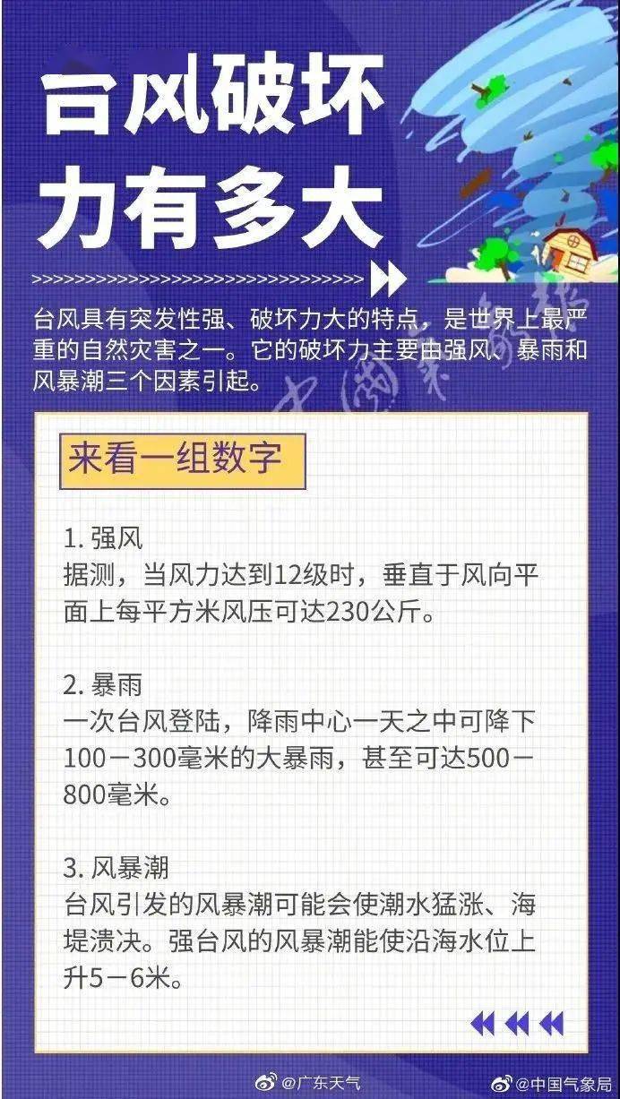 管家婆一碼一肖一種大全,快速落實方案響應_Harmony款15.586