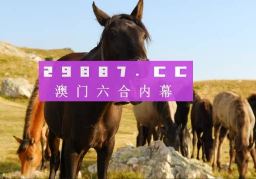 澳門管家婆一肖一碼一中一,準(zhǔn)確資料解釋落實_X73.142