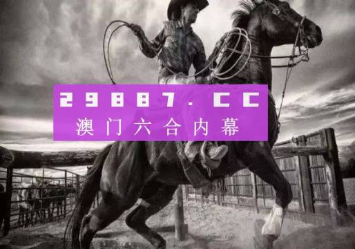 2024新澳門正版免費資本車,權威分析說明_N版22.864