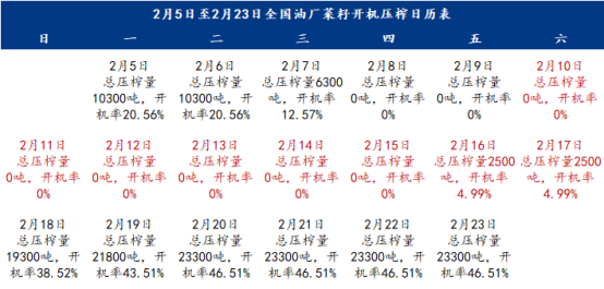 2024新澳天天彩資料免費提供,全面理解執行計劃_創新版20.466