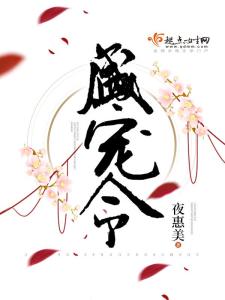 夜惠美最新小說(shuō)探秘，奇幻光影世界的神秘面紗