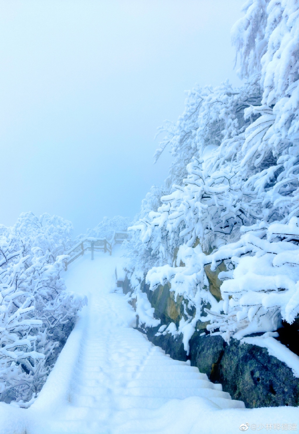 瑞雪兆豐年txt下載