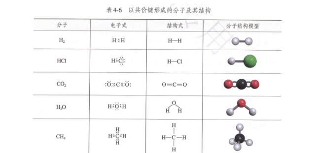 最新的化學鍵