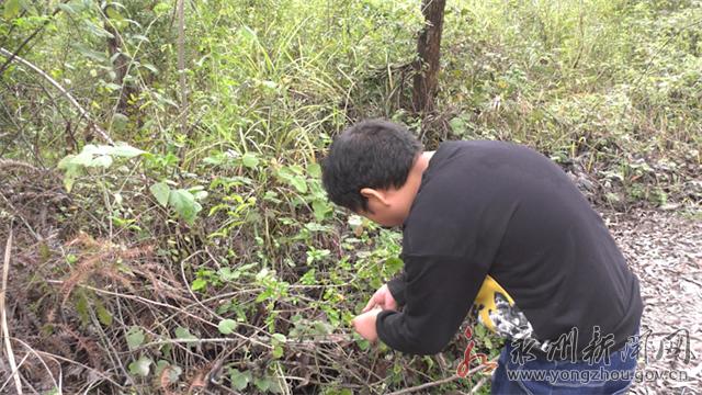 道縣小學最新領導概覽，學校領導團隊一覽表