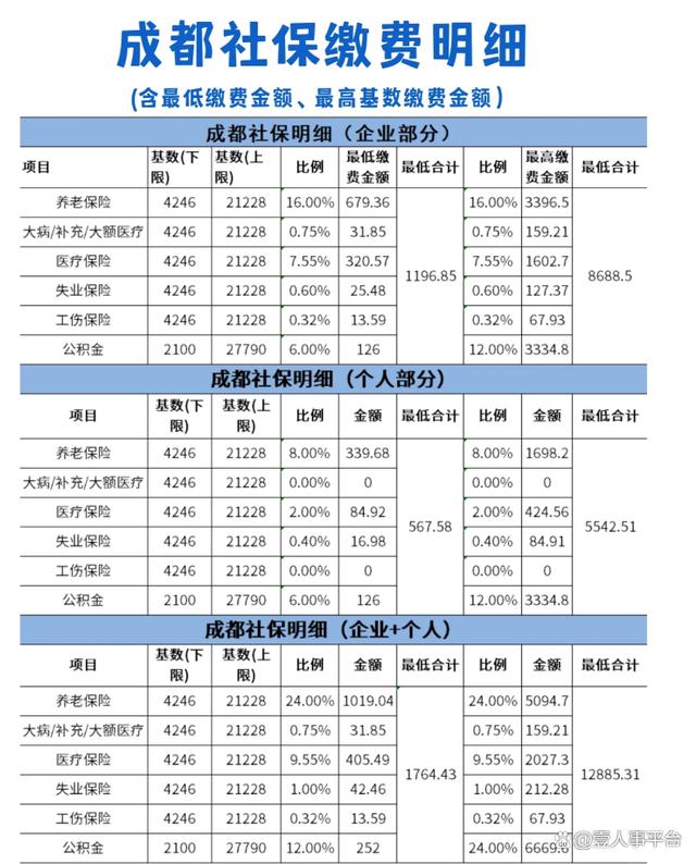 成都最新社保繳費明細詳解與解析