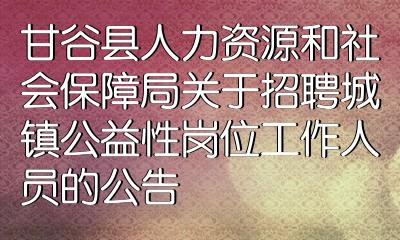 天水市市審計局最新招聘信息