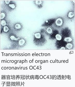 全球視野下的冠狀病毒最新狀況，疫情進展與應對策略解析