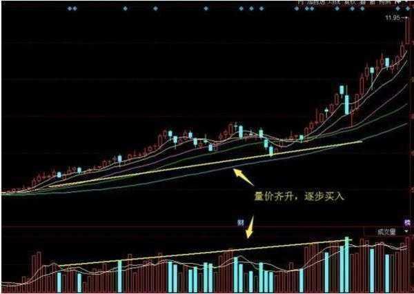 孚日股份最新公告解讀，揭示企業最新動態、未來展望及深度分析